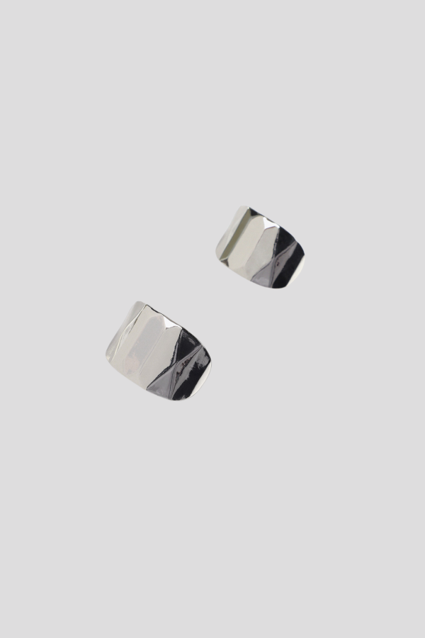 Faceted earrings