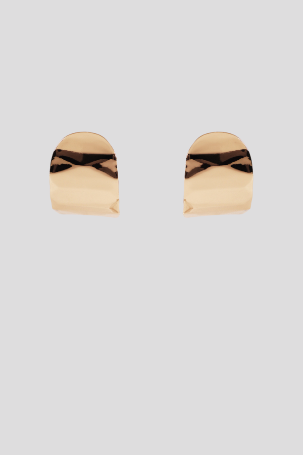 Faceted earrings