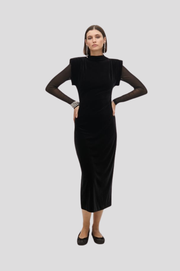 Long Velvet Dress with Transparent Sleeves