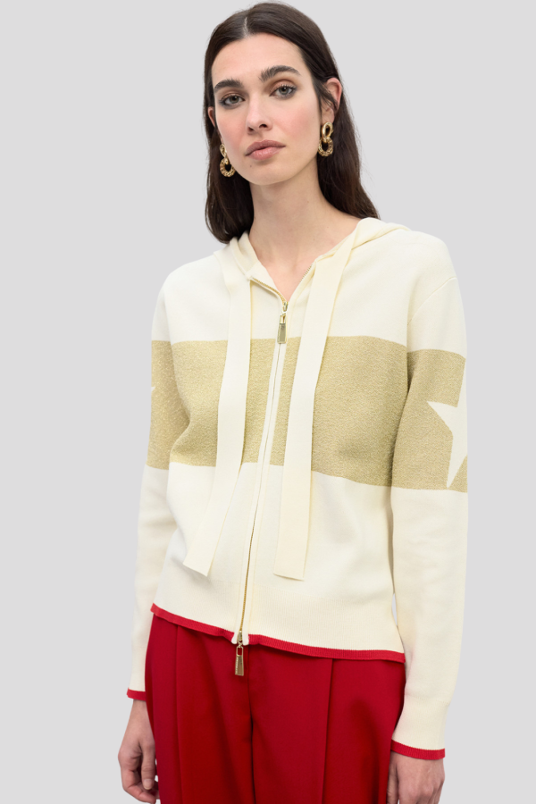 Sudadera con capucha lurex estrella