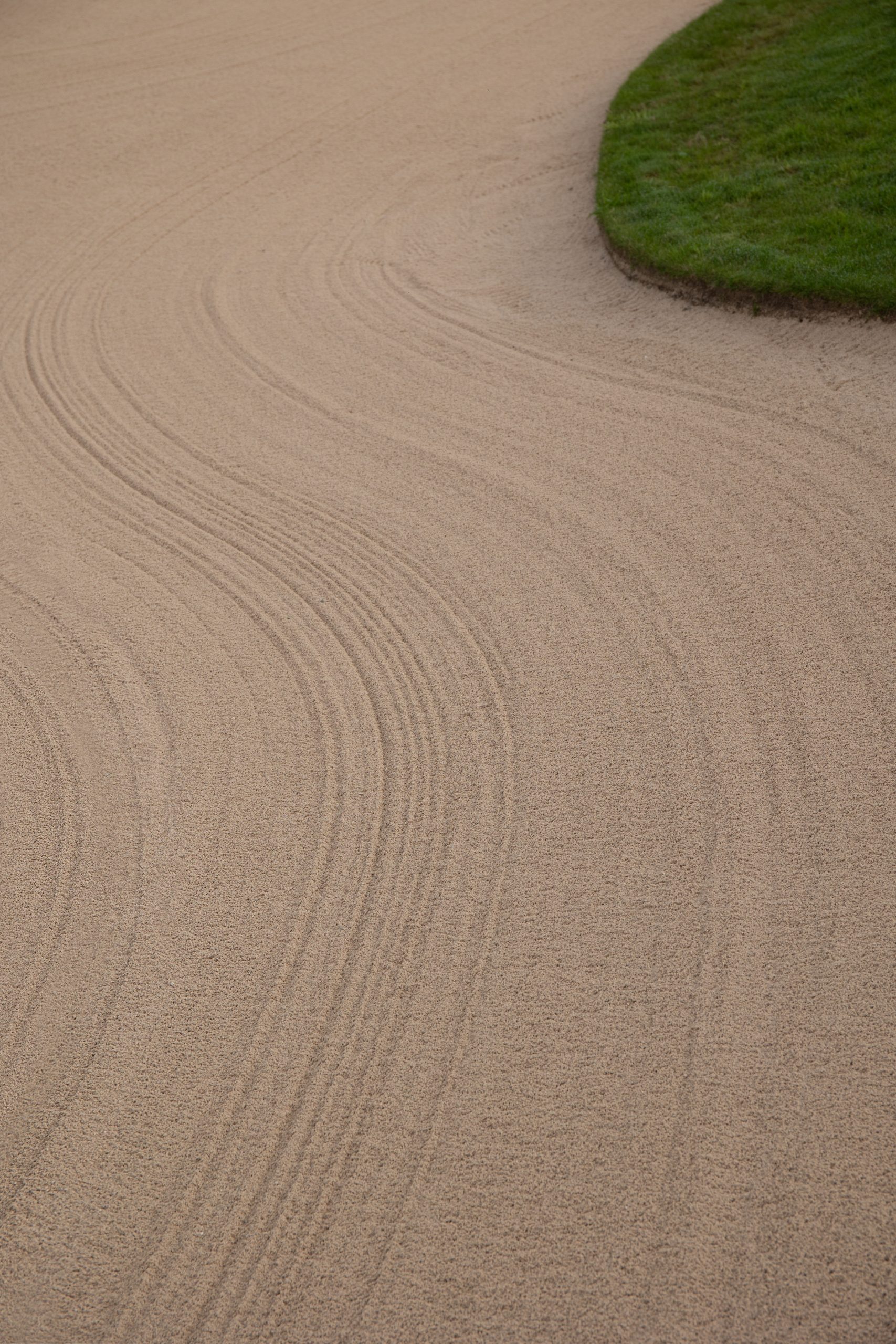 bogner_ss26_action_12